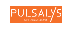 études de marché - Pulsalys